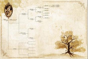 img arbre papier